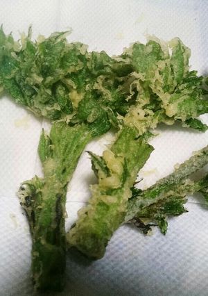 冷めても美味しいサクサク ウドの天ぷら♪-レシピのメイン写真