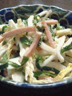 生が美味しい♪白菜のノンオイルサラダ-レシピのメイン写真
