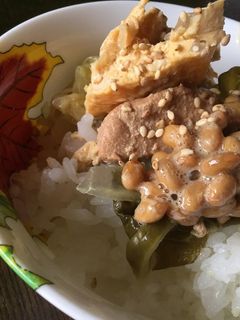 親子キャベツ丼の納豆そえ-レシピのメイン写真
