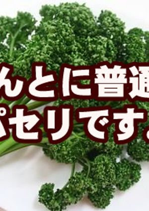 パセリの超簡単なみじん切り-レシピのメイン写真