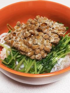 納豆豆苗しらす丼-レシピのメイン写真