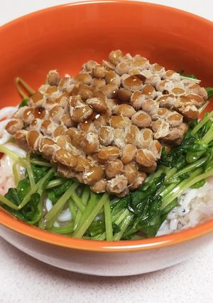 納豆豆苗しらす丼-レシピのメイン写真