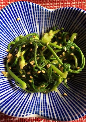 コシアブラの胡麻和え-レシピのメイン写真