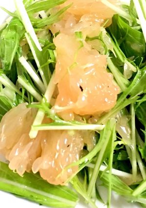 水菜とグレープフルーツのさっぱりサラダ☆-レシピのメイン写真