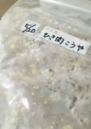 栄養もup！高野豆腐で増量ひき肉-レシピのメイン写真