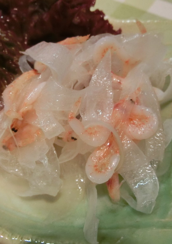 桜えびと新玉ねぎの酢の物-レシピのメイン写真