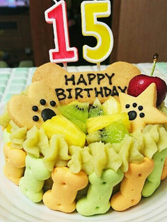 犬用の誕生日ケーキ(*^^*)-レシピのメイン写真