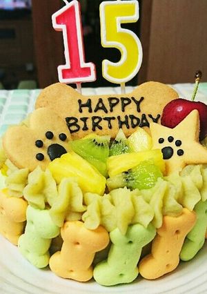 犬用の誕生日ケーキ(*^^*)-レシピのメイン写真