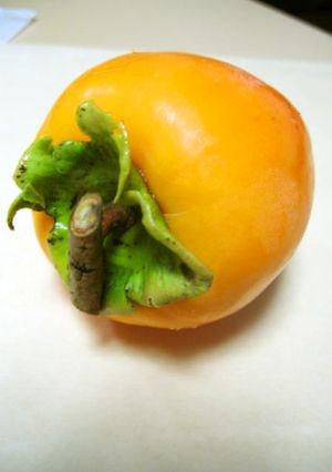 はちや柿の食べ方-レシピのメイン写真