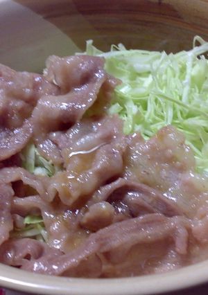 塩豚丼-レシピのメイン写真