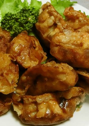 ずぼらなあなたへ! 揚げ焼売&揚げ餃子-レシピのメイン写真