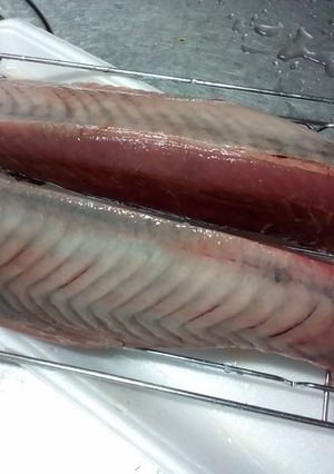 鰹の臭みを取る！粗塩冷凍・冷蔵保存！ლ-レシピのメイン写真