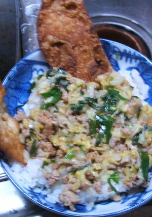 三見一体!餃子丼-レシピのメイン写真