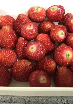 すぐに食べれる苺の保存方法❤︎-レシピのメイン写真