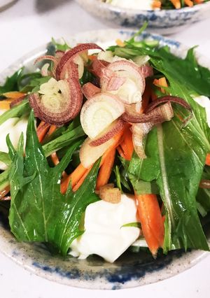 ちぎり豆腐と和風薬味の夏サラダ-レシピのメイン写真