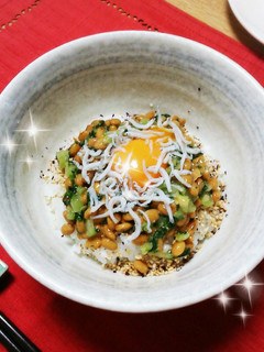 かんたん納豆丼♡(キレイ女子丼☆*゚)-レシピのメイン写真
