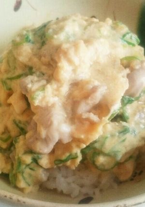 九条ねぎのふんわり親子丼-レシピのメイン写真