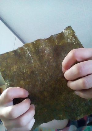 お弁当でも☆噛み切れる海苔！-レシピのメイン写真