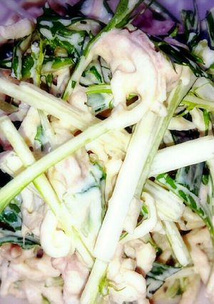 水菜と切り干し大根のサラダ-レシピのメイン写真