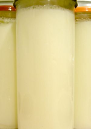 Homemade Yogurt-レシピのメイン写真