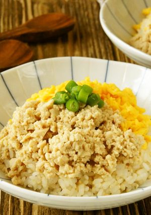 カルシウム!高野豆腐とたまごのそぼろ丼-レシピのメイン写真