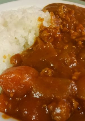 本格簡単！『異世界駅舎』のカレー【再現】-レシピのメイン写真