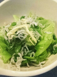レタスとジャコのおひたし-レシピのメイン写真