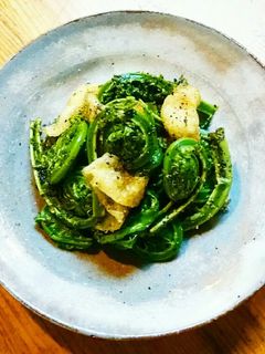 こごみと油揚げの胡麻和え-レシピのメイン写真