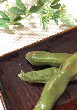 焼きそら豆-レシピのメイン写真