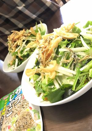 簡単！さっぱり！野菜サラダうどん-レシピのメイン写真