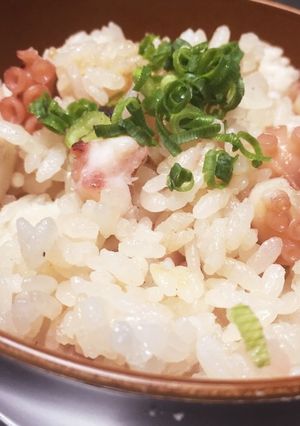 タコと里芋の炊き込みご飯〜生姜風味〜-レシピのメイン写真