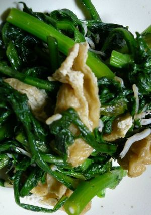 ✿春菊としらすde美味しい炒め物✿-レシピのメイン写真