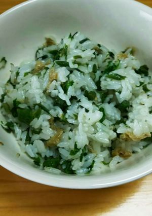 春の恵み~タラの芽とこしあぶらの混ぜご飯-レシピのメイン写真