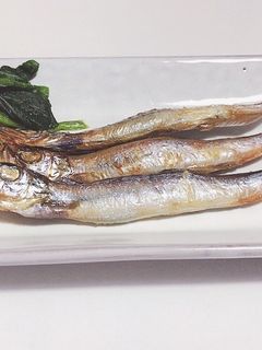簡単ひと手間!焼きししゃも:-)-レシピのメイン写真