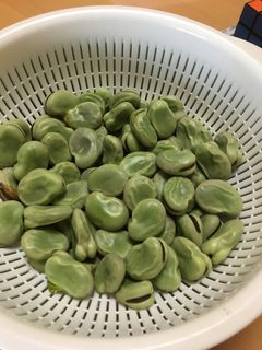 超簡単‼️ ソラマメの茹で方-レシピのメイン写真