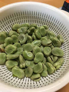 超簡単‼️ ソラマメの茹で方-レシピのメイン写真