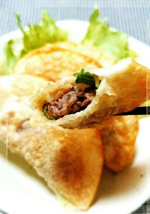 牛肉で揚げ餃子-レシピのメイン写真