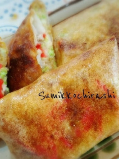 お好み焼きパリパリ春巻き☆彡.。-レシピのメイン写真