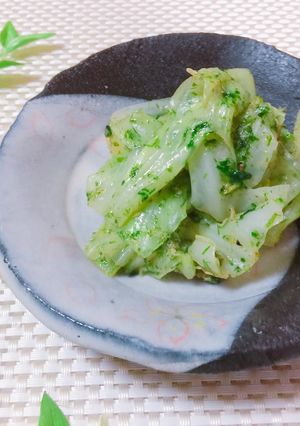 春キャベツのサラダ-レシピのメイン写真