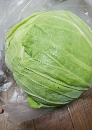 キャベツを瑞々しく長持ちさせる方法-レシピのメイン写真