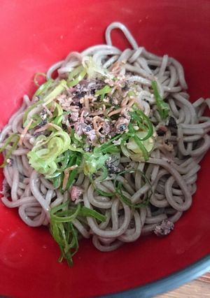 カリカリ梅ちりめんふりかけでぶっかけそば-レシピのメイン写真