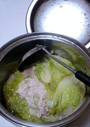 簡単！白菜と豚肉の煮物-レシピのメイン写真