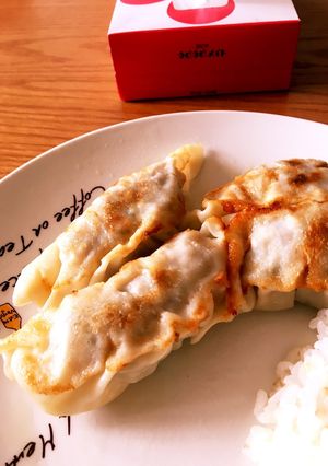 スパイシー餃子-レシピのメイン写真