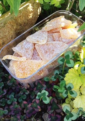 夏みかんのピール とついでにジャムとか-レシピのメイン写真