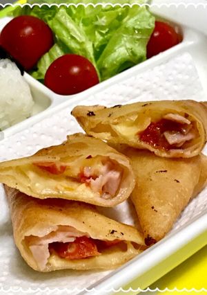 ハム チーズ ミニトマト 春巻き 皮余り-レシピのメイン写真
