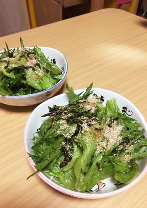 レタス大量消費でサラダをいっぱい食べて-レシピのメイン写真