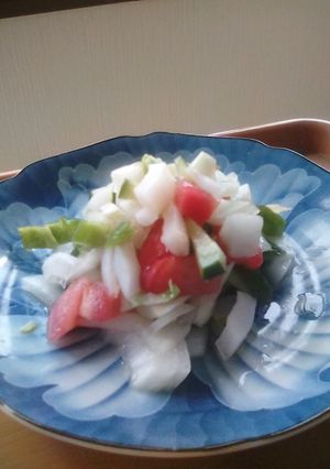 新玉ねぎ、トマト、きゅうりのマリネ-レシピのメイン写真