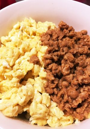 【調味料１つだけ！】大豆のお肉でそぼろ丼-レシピのメイン写真