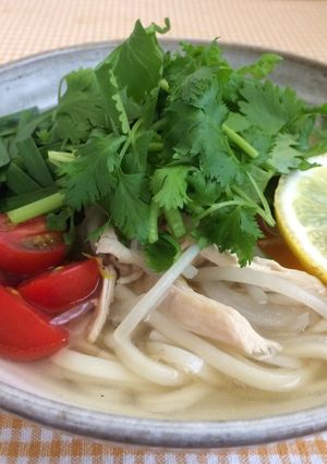 パクチー鶏うどん-レシピのメイン写真