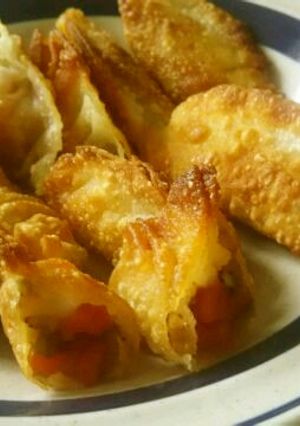 きんぴらごぼうのチーズ揚げ餃子-レシピのメイン写真